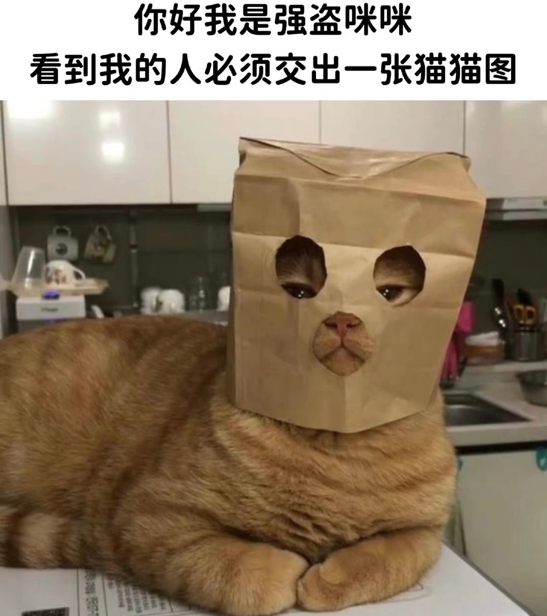 大家四月有遇到什么小可爱吗？ ​​​