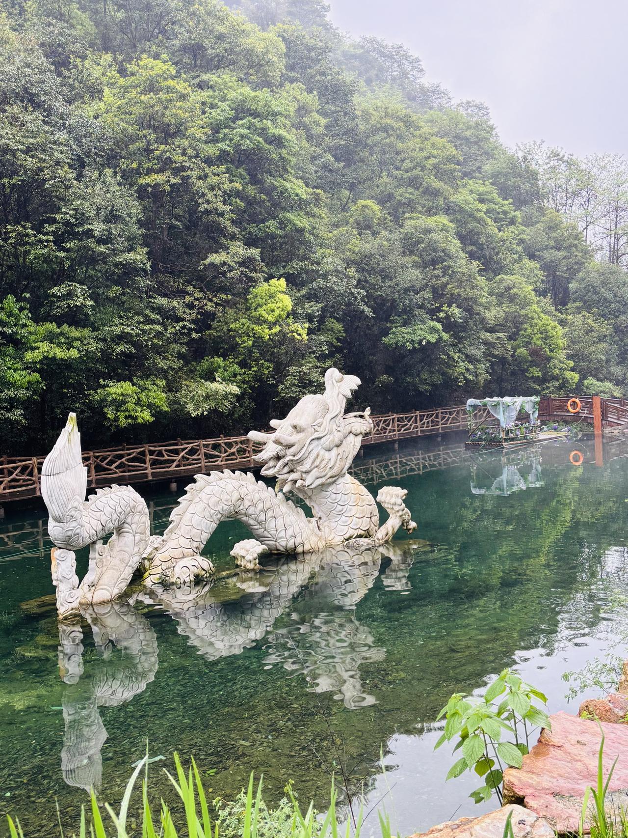 今天雾蒙蒙，下着小雨，打着雨伞，去杭州白龙潭游玩。沿着山路往里走，溪水声渐渐清晰