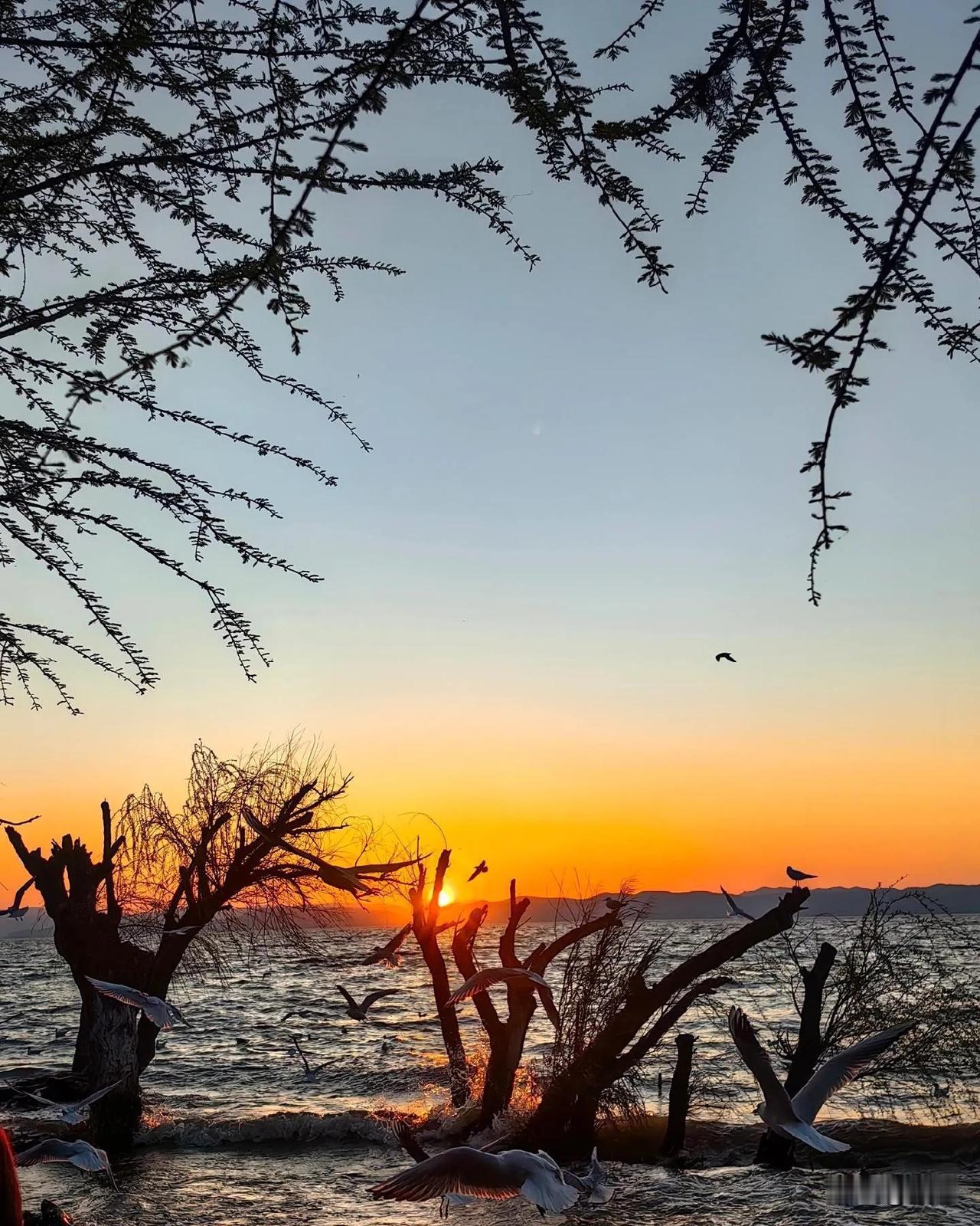 治愈系风景分享这样的夕阳我觉得很治愈！