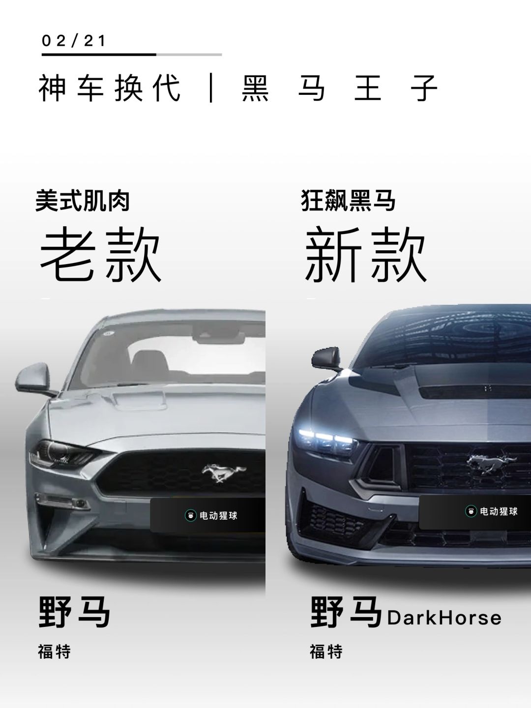 神车换代｜黑马王子🦓