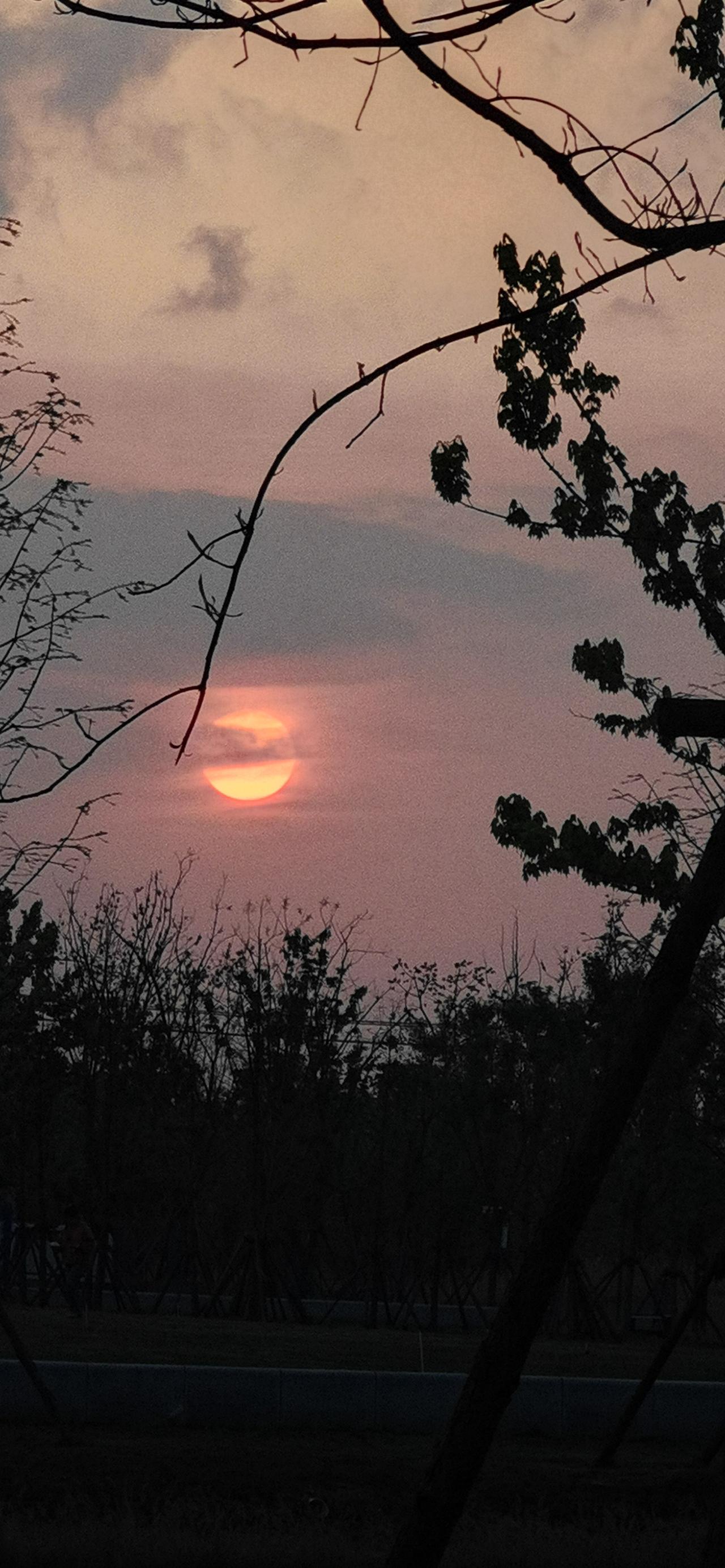困在大山的三哥

清明节回老家上坟。4月4日傍晚，我们赶到时，没有想象中的热情相
