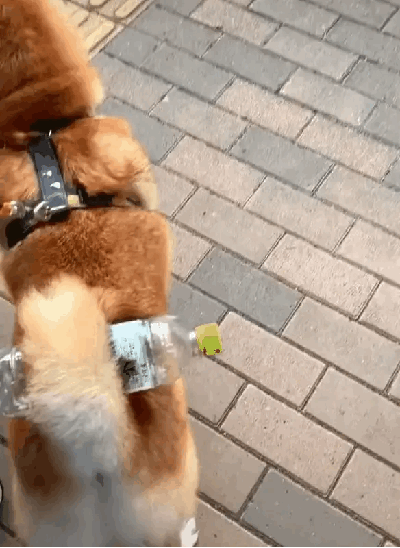 出去玩又怕口渴又不想带水，这个倒是一个好办法。