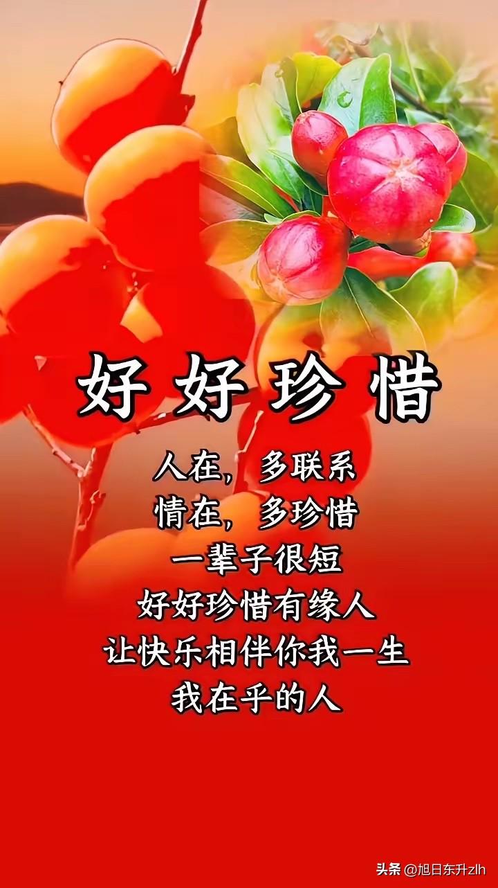 用友谊之手
握住相遇之缘
用真诚之心
守住缘分之情
愿你我开心快乐每一天

永远