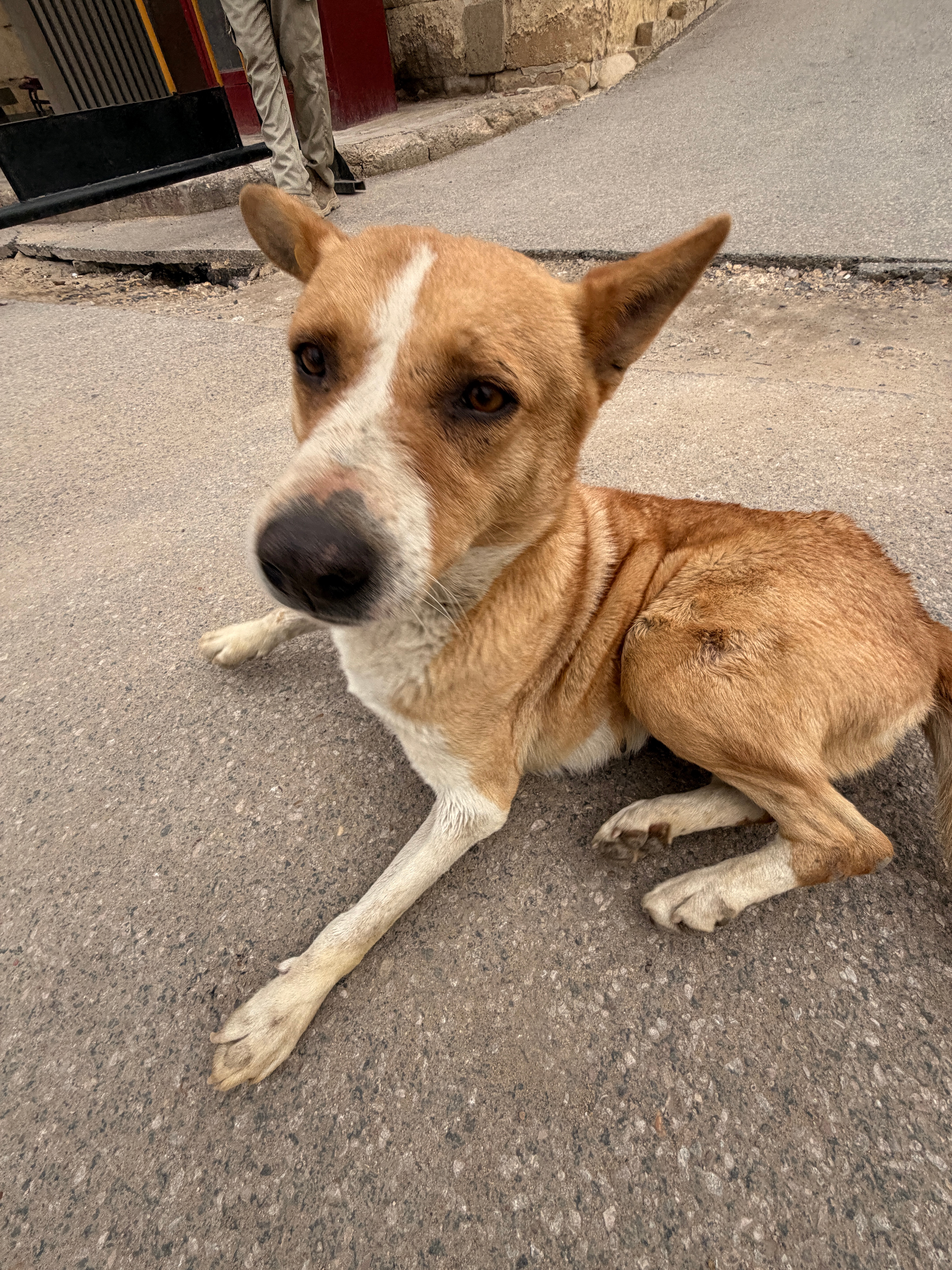 发点生活小碎片～ 