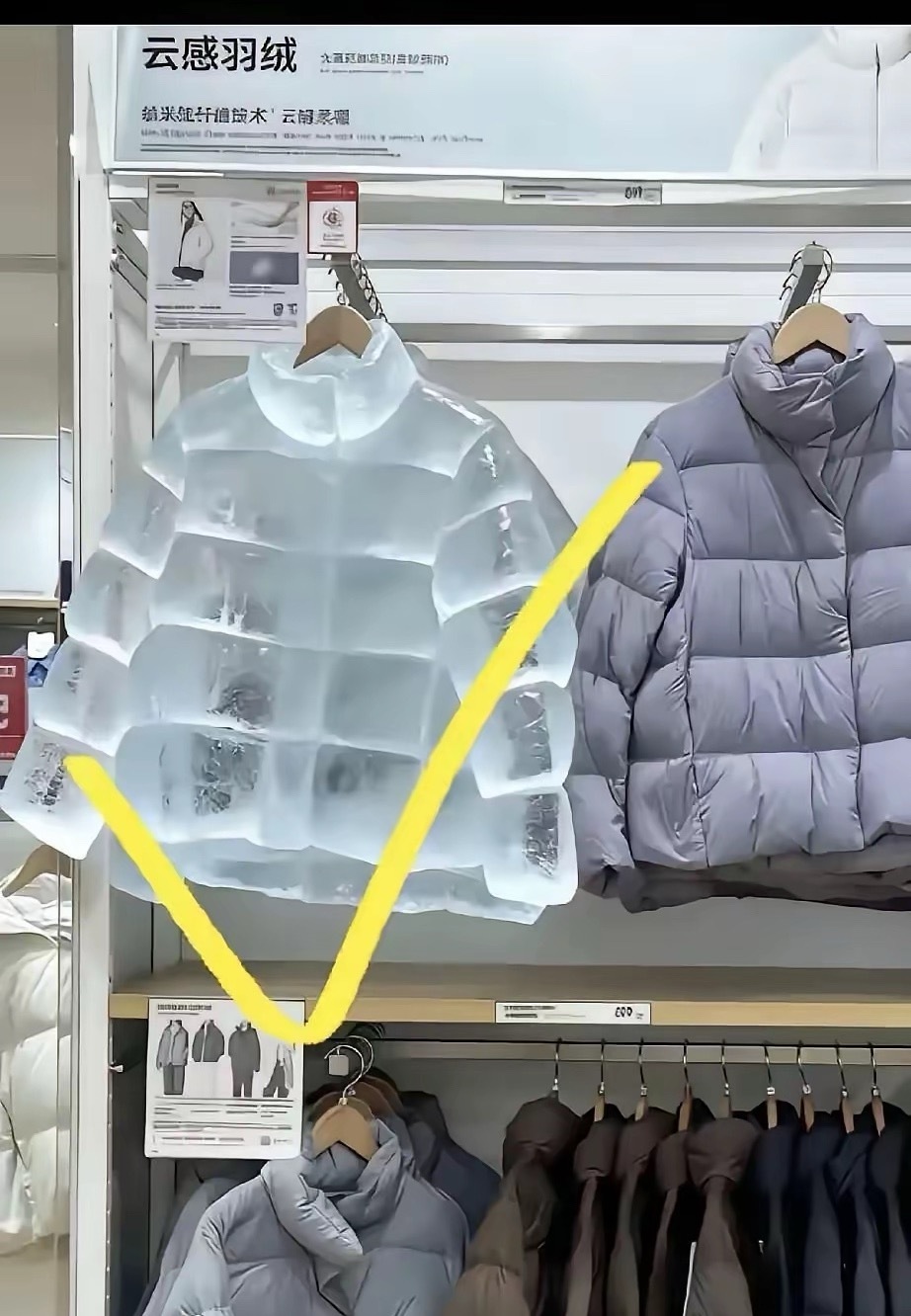 大家在商场里面看到过这种羽绒服吗？我反正没见过。