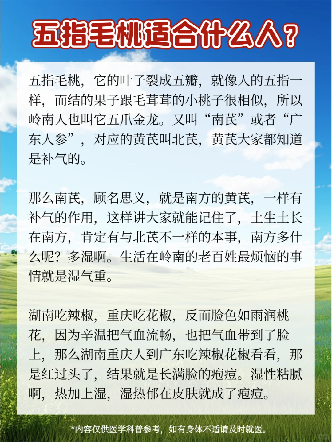 五指毛桃适合什么人？