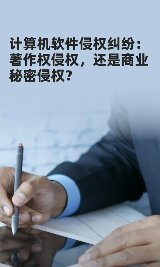 计算机软件侵权纠纷：著作权，商业秘密。