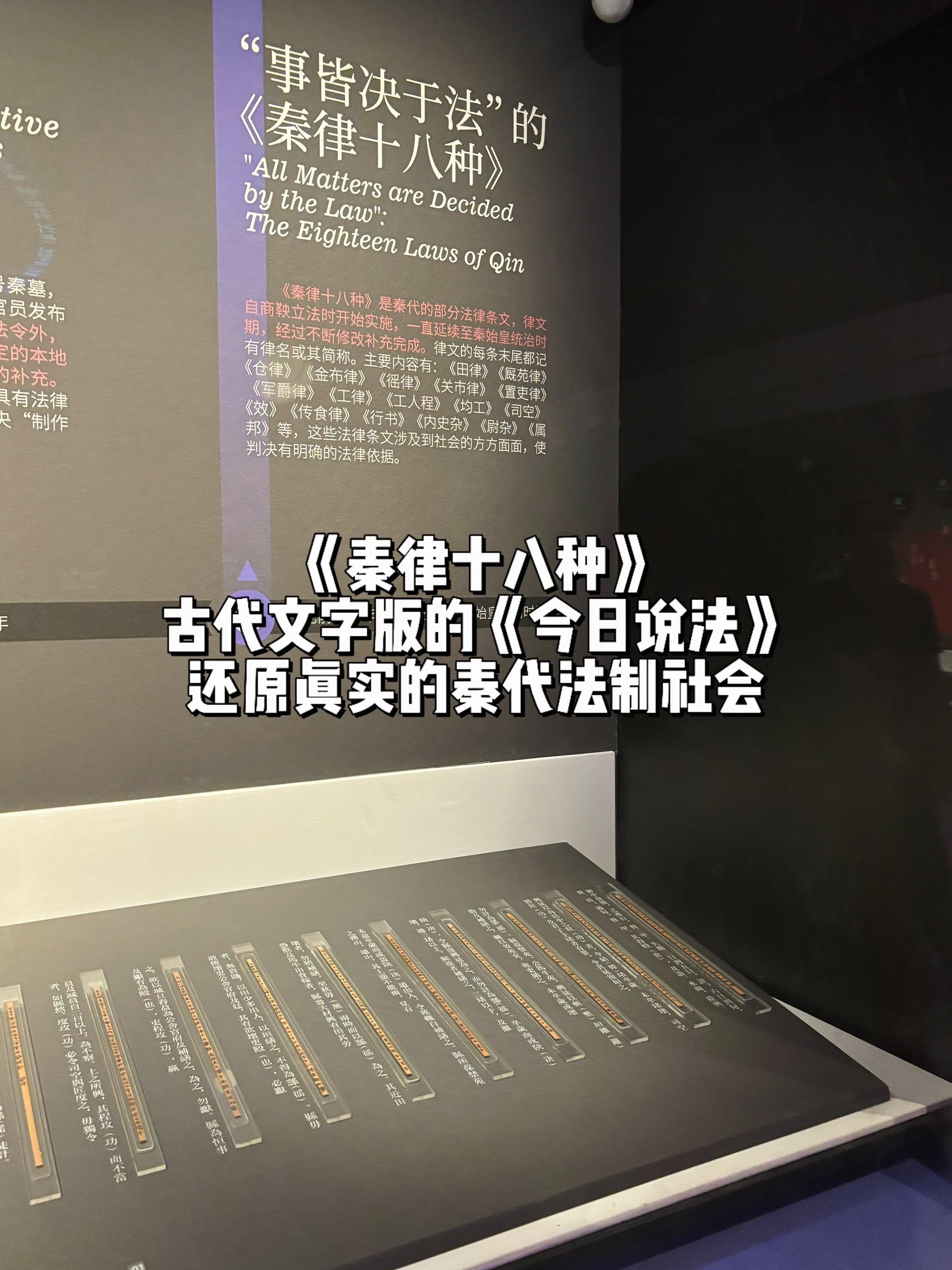 《秦律十八种》古代文字版的《今日说法》里面还原真实的秦代法制社会！19...