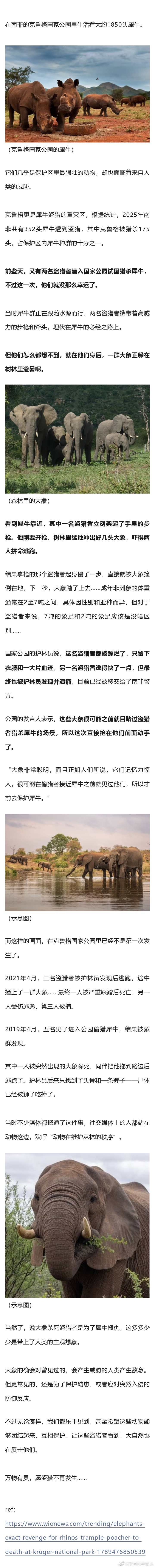 盗猎者偷袭犀牛。开枪前一秒，身后突然冲出7吨重大象，人都踩烂了… ​​​
