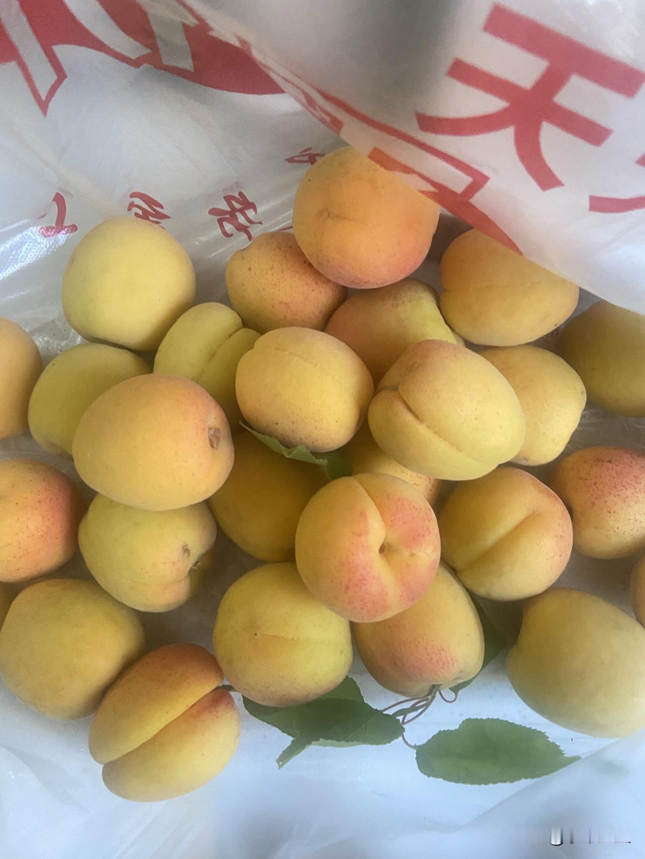 昨天早晨我在早市买了一兜杏！金黄的幸是自然成熟的！口感酸甜！在家里放几天更甜，酸