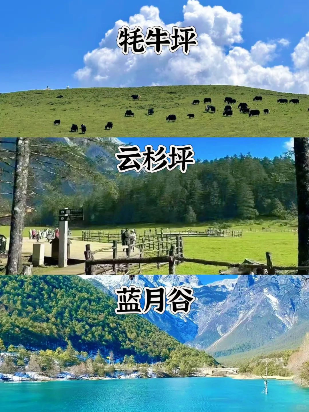 玉龙雪山千万别跟团，自由行攻略在此