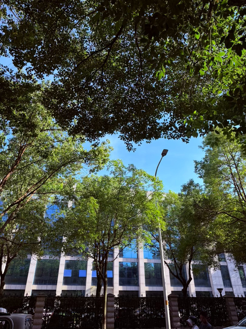 生活手记记录真实生活摄影摄影摄影 晴日街隅，一树清夏赴天光盛夏晴光铺展街巷，澄澈