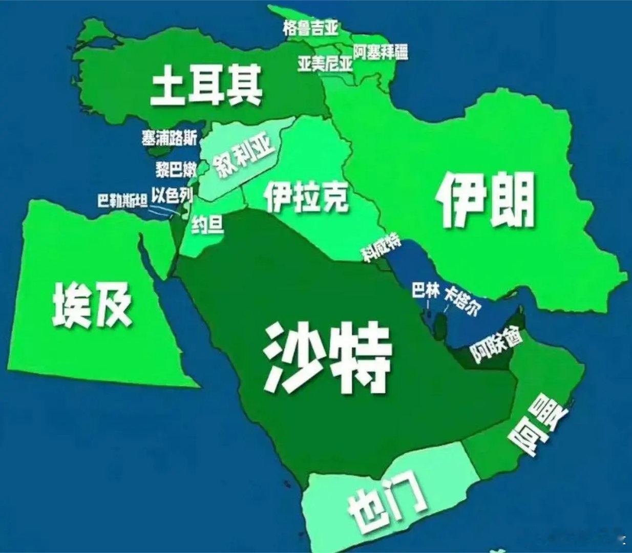 土耳其成为中东地区唯一有实力对抗以色列的国家。土耳其对内塔尼亚胡提起诉讼