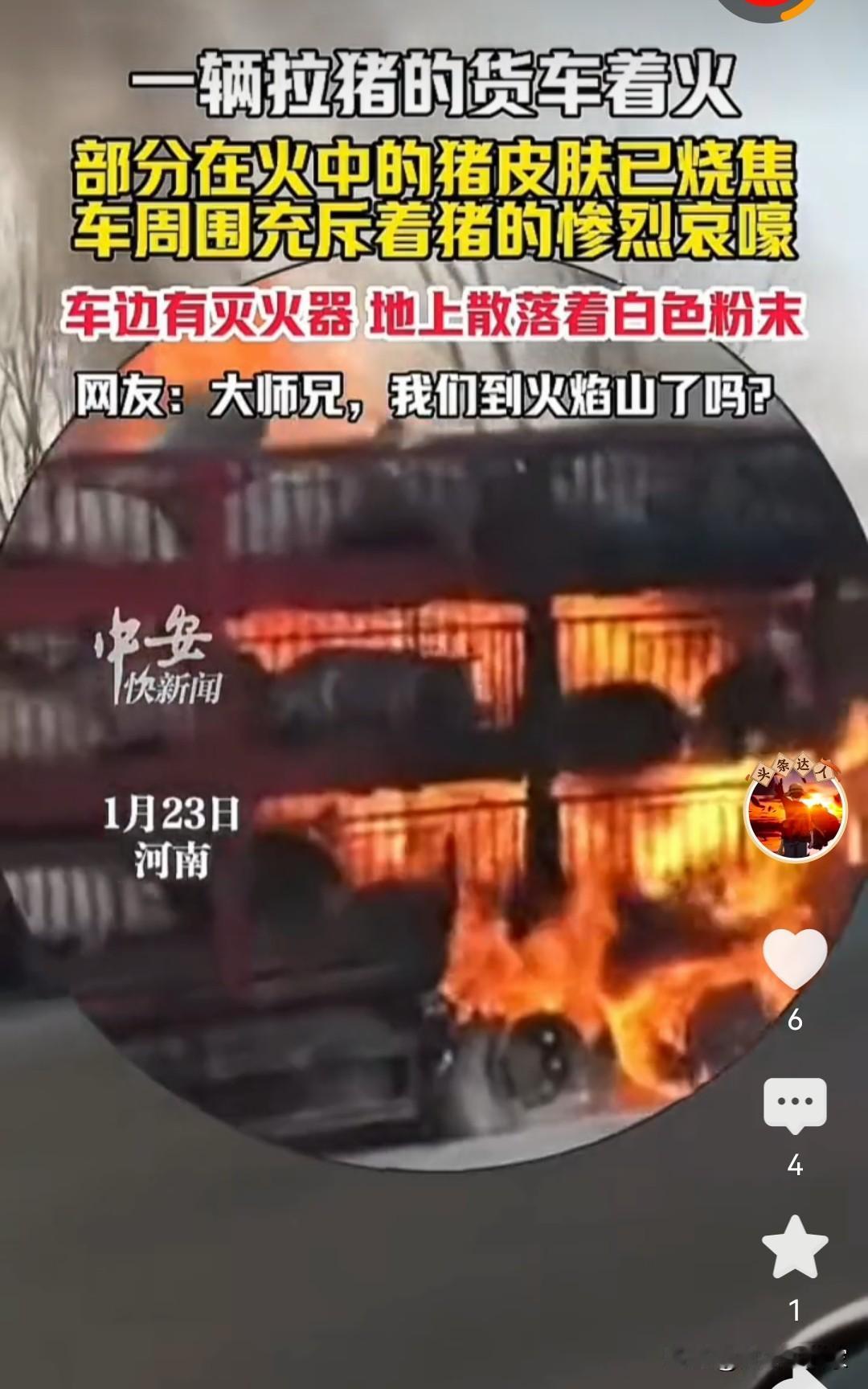 临近春节了，二师兄也是一直在刀尖上行走。

前有刨猪宴，好歹痛快的挨了一刀，现在