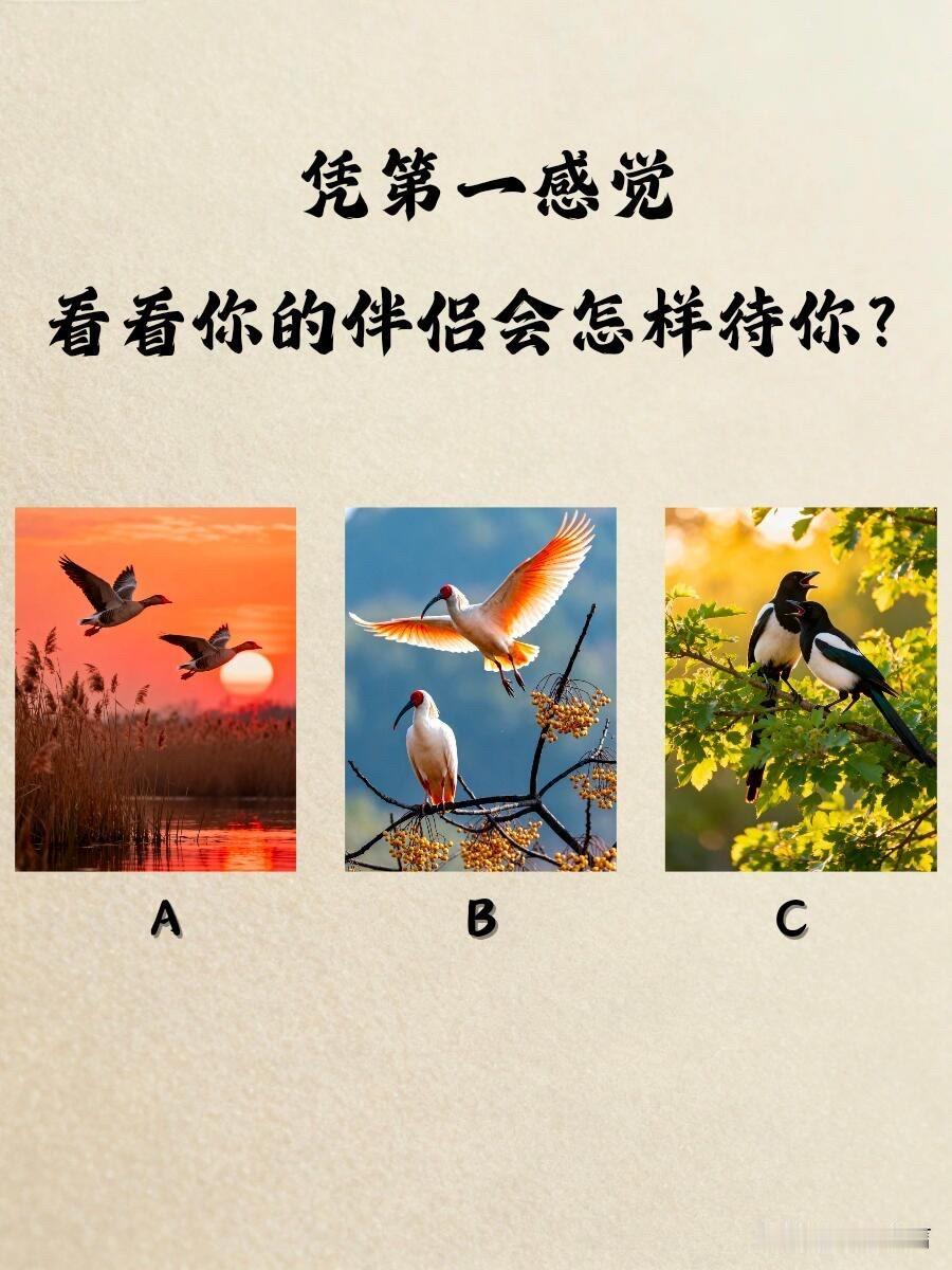 看看你的伴侣会怎样待你?