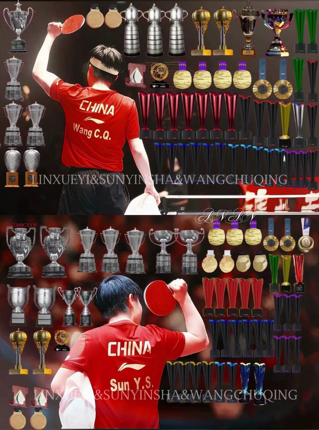 哥姐的战绩可查，伟大的乒乓运动员，健将势不可挡！
打击能力覆盖全球，战绩可查，这