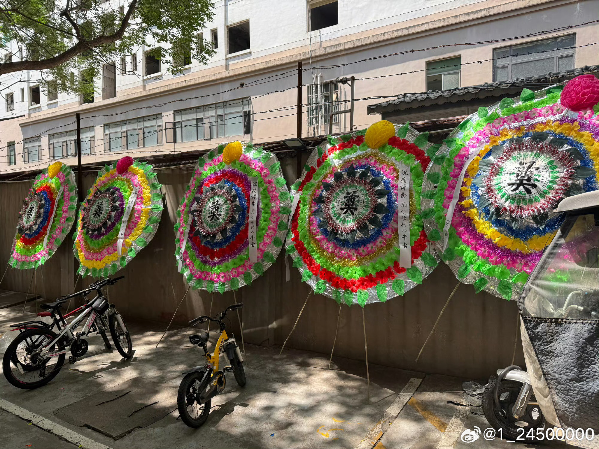 看到卡11:39发了“不白练”卡了11:01,  我想把图一我家院子的这5个花圈