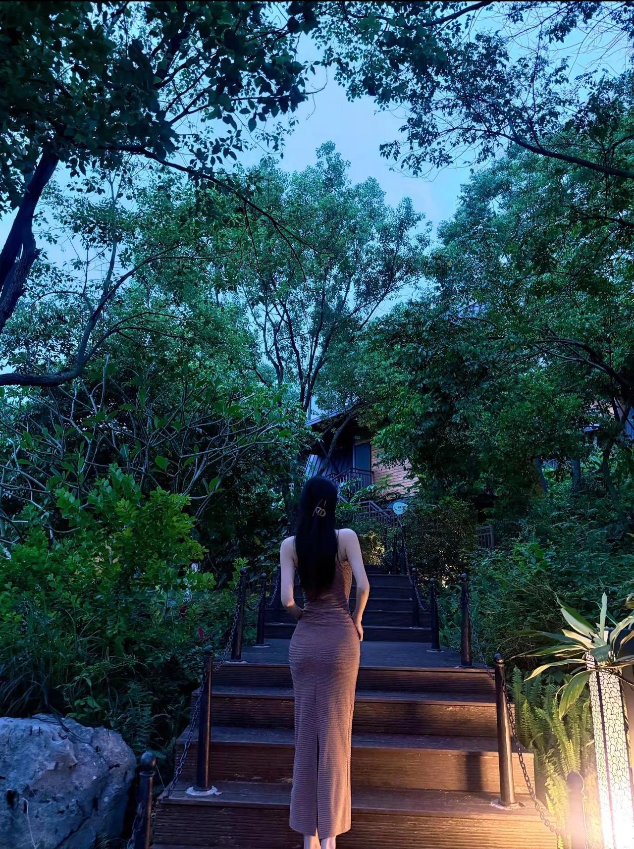 习惯于泥路的人，走路都不太看红绿灯。