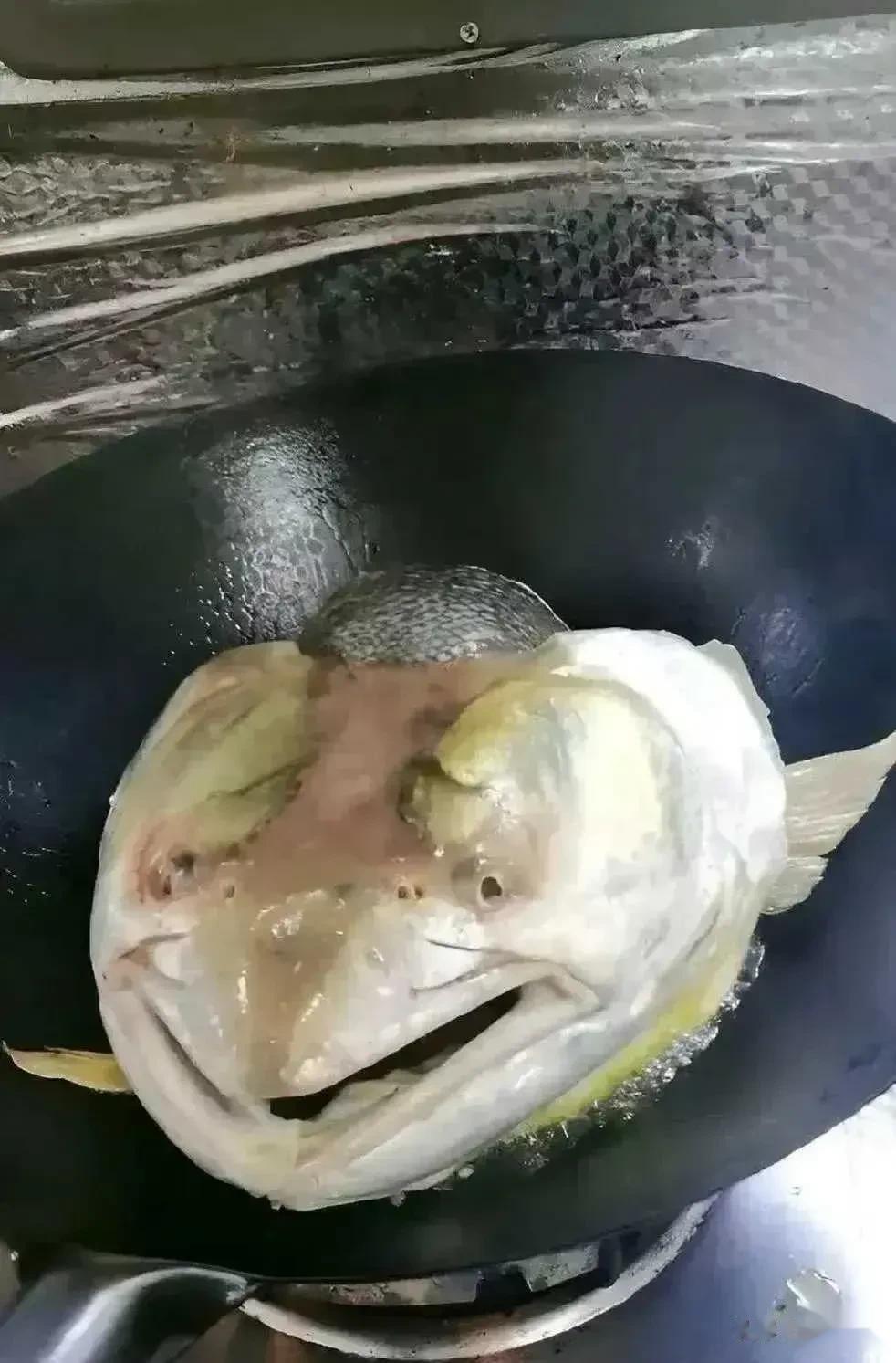 都快变成菜了还这么开心[惊呆]