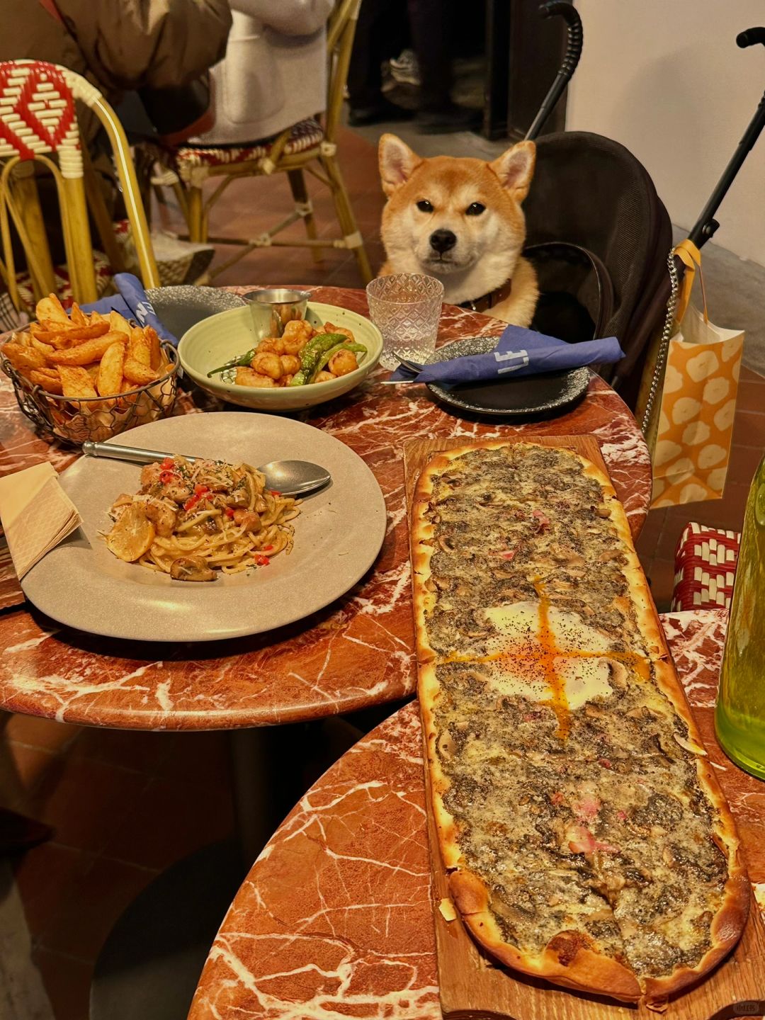 在上海带狗狗去店里吃饭