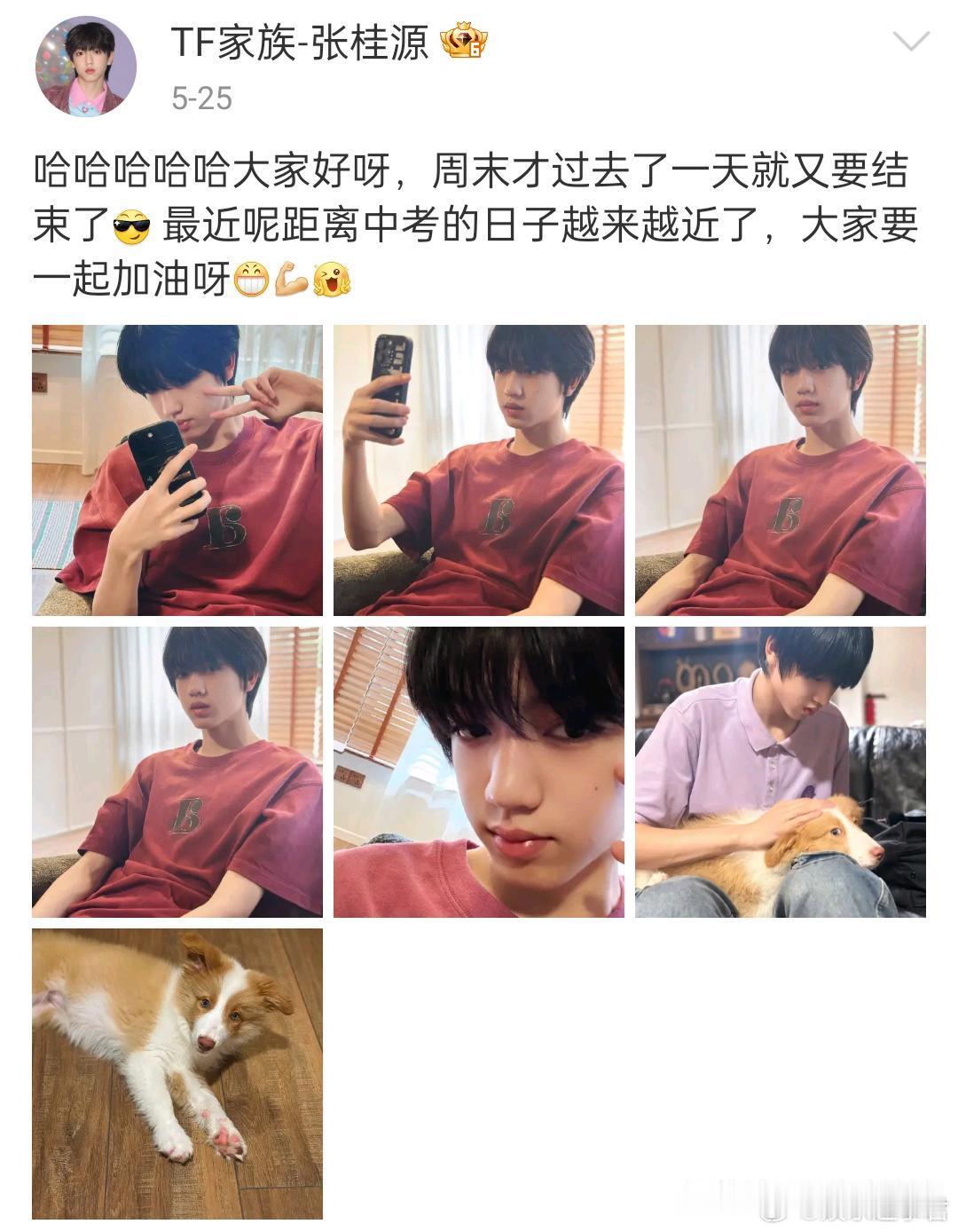 张桂源中考623分TF家族张桂源被曝中考考了623分好亮眼的成绩，恭喜。 ​​​