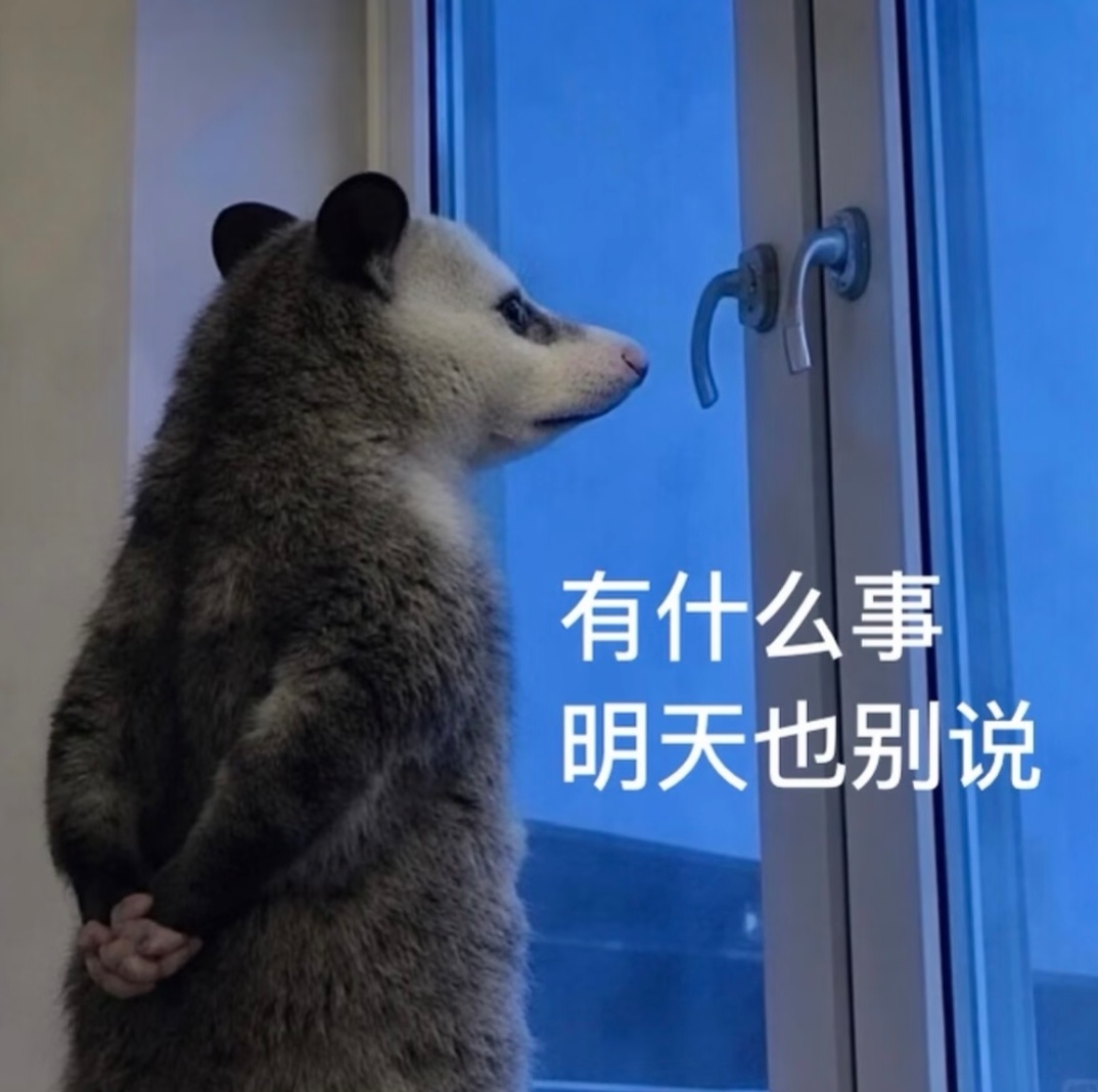 我上次看到一个“所有人都在关心你飞得高不高，只有我关心真的有那么多人关心你吗？”