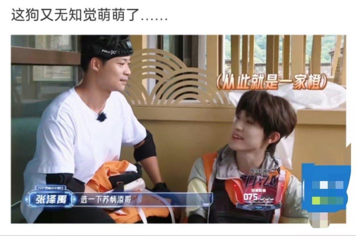 张泽禹无知觉萌萌 救命！张泽禹怎么可以这么萌？从童年到现在，萌感始终如一，节目里
