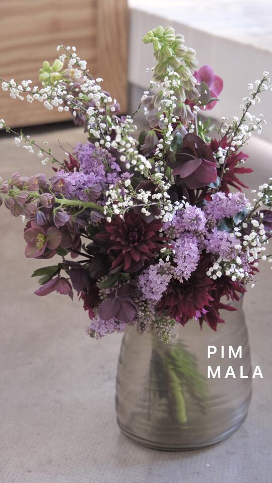 PIMMALA｜贝母带着丁香来啦