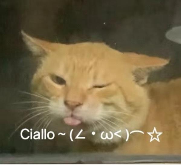 评论区抽两个朋友，各送一件“哈基米南北绿豆”豆浆，周末开。（销量太大导致可能明年