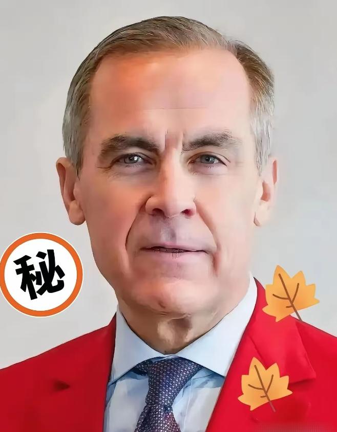 加拿大突然“急转弯”：中国电动车关税大松绑，背后有深意！
 
这段时间，加拿大在