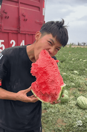 这西瓜实在是馋人呀！只有去产地才能吃到这么地道的西瓜。