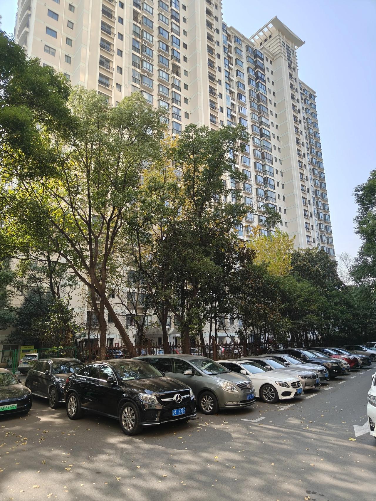 冬日午后随手拍实景图分享！

身边的风景随手拍～🌲🌲🍂🍂