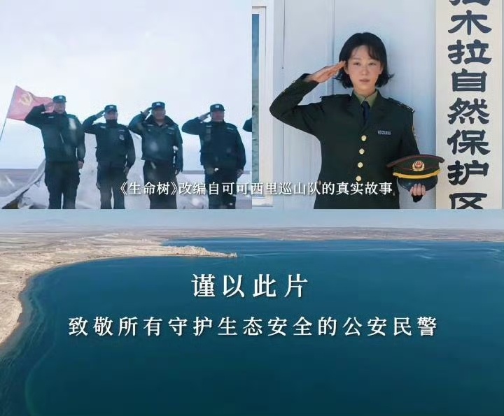 曝金鹰奖最佳女主角杨紫众望所归呐！我替杨紫接了！力挺杨紫拿下金鹰视后[春游家族]