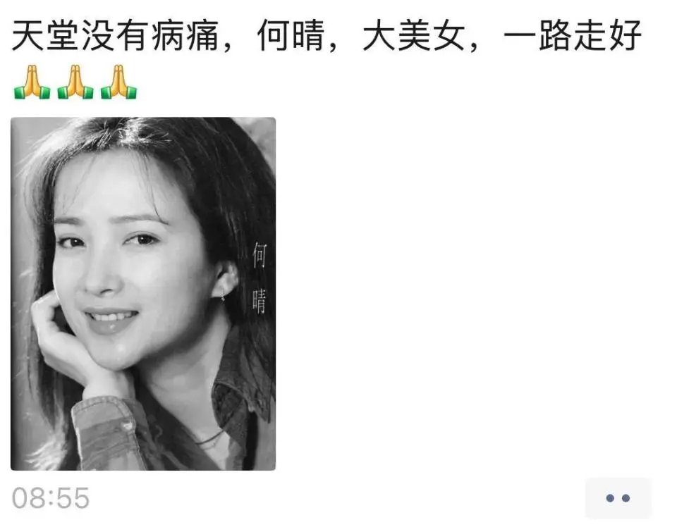 演员何晴去世，《三国演义》“赵云”扮演者张山透露病情：我们是