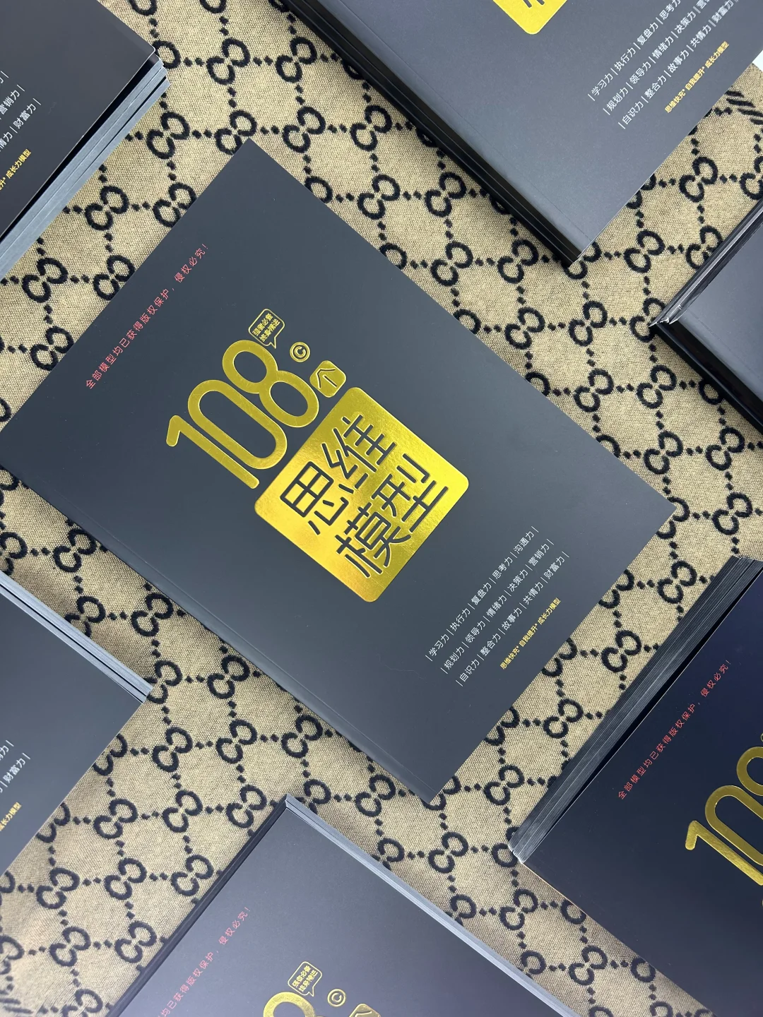 人生关键十年：用思维模型为自己“编程”