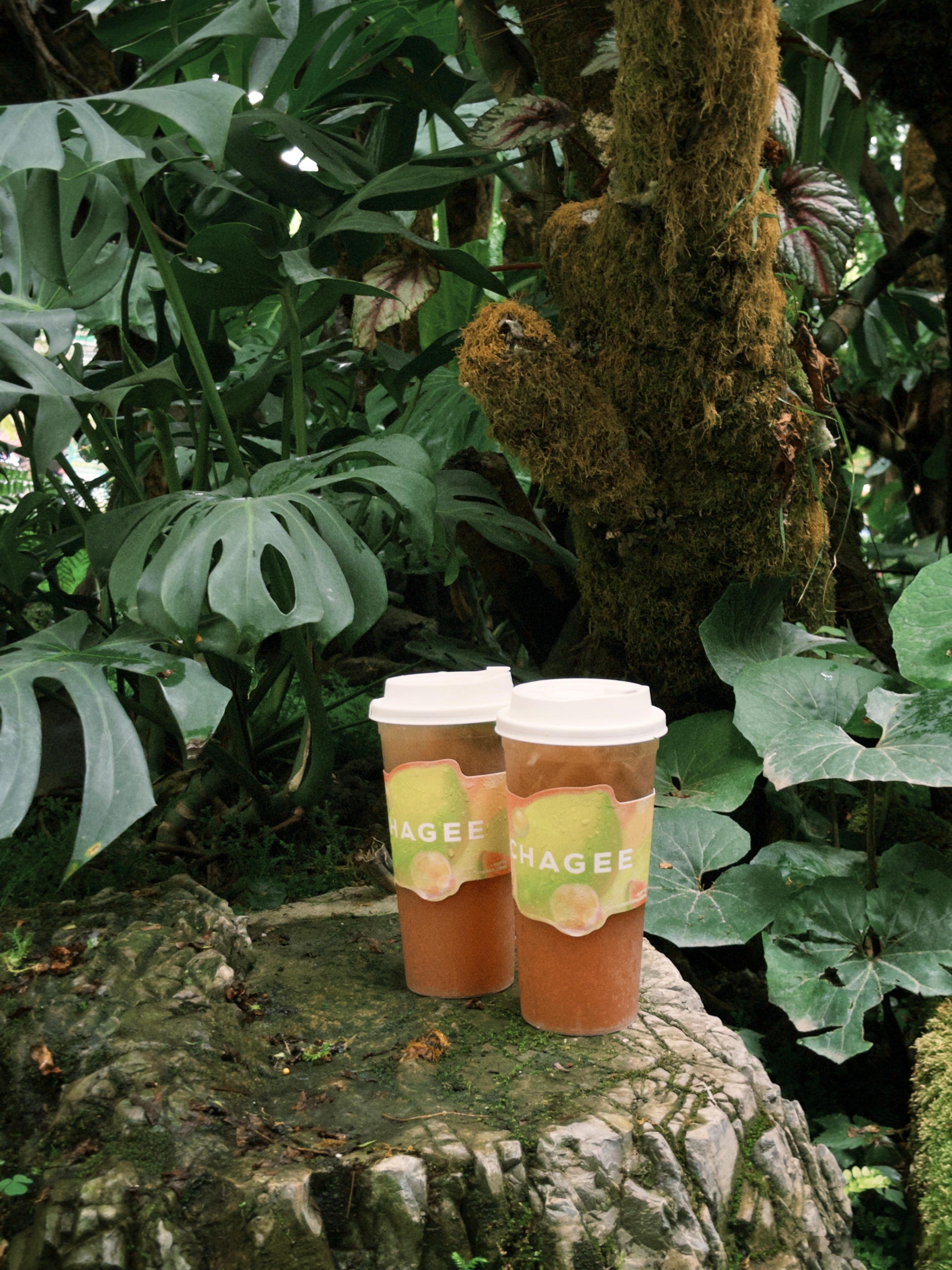 日落以后一起chagee [柠檬茶]霸王茶姬太会了！新品柠檬茶×孙燕姿代言=夏日