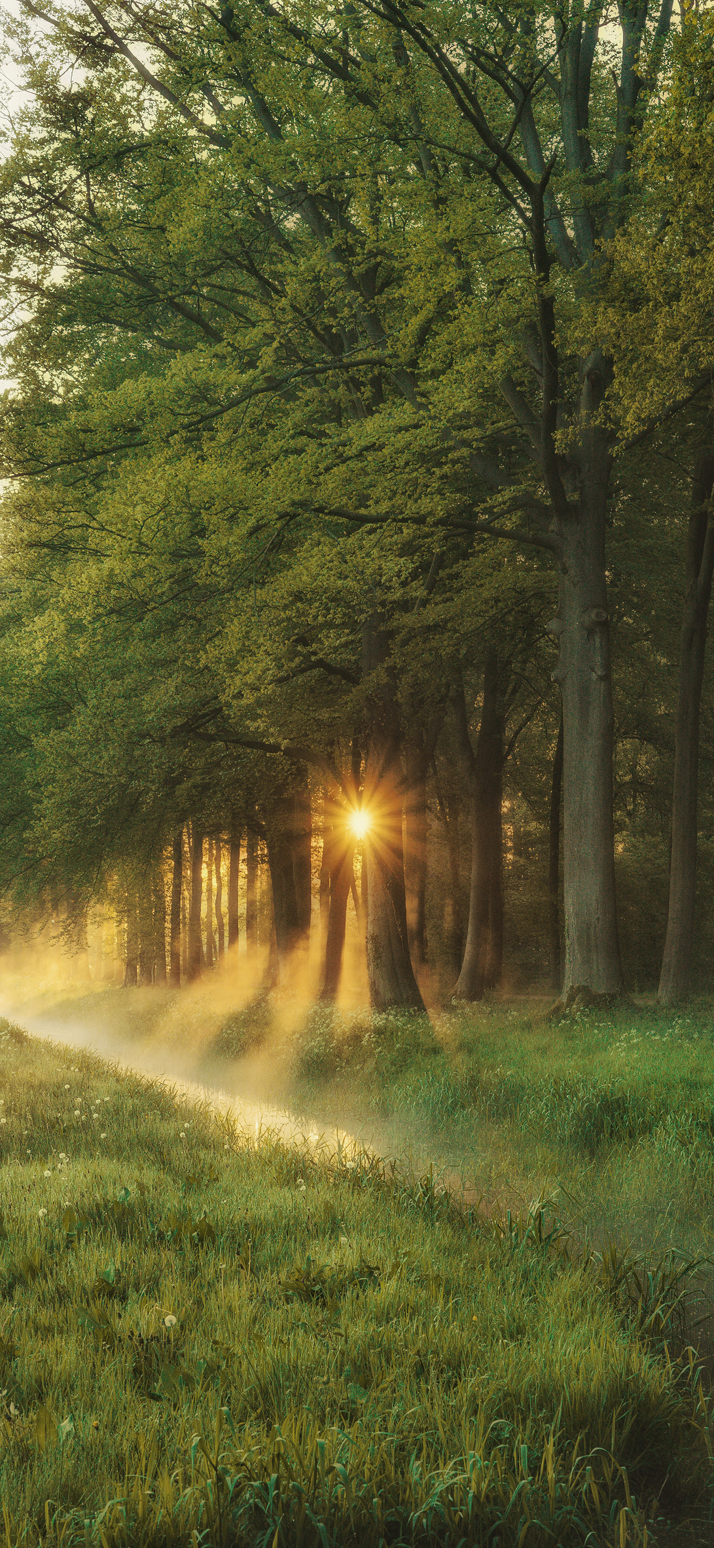 早啊，今天睡得香这会醒了还没起风景壁纸