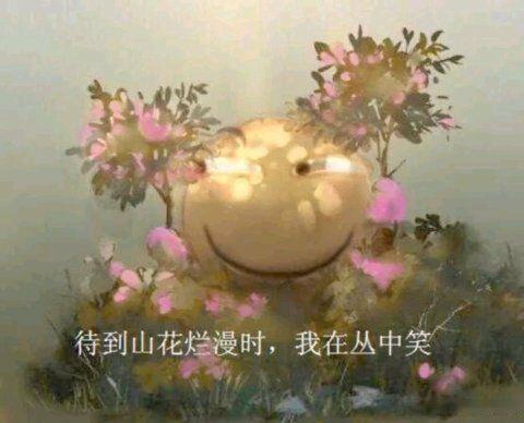 饿了 饿了我吃份无糖零脂 的希腊酸奶，(200g的规格，每百克 蛋白质是10g，