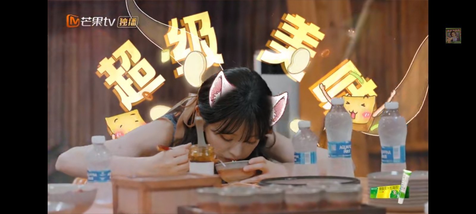 小猫吃饭🐱🍽 