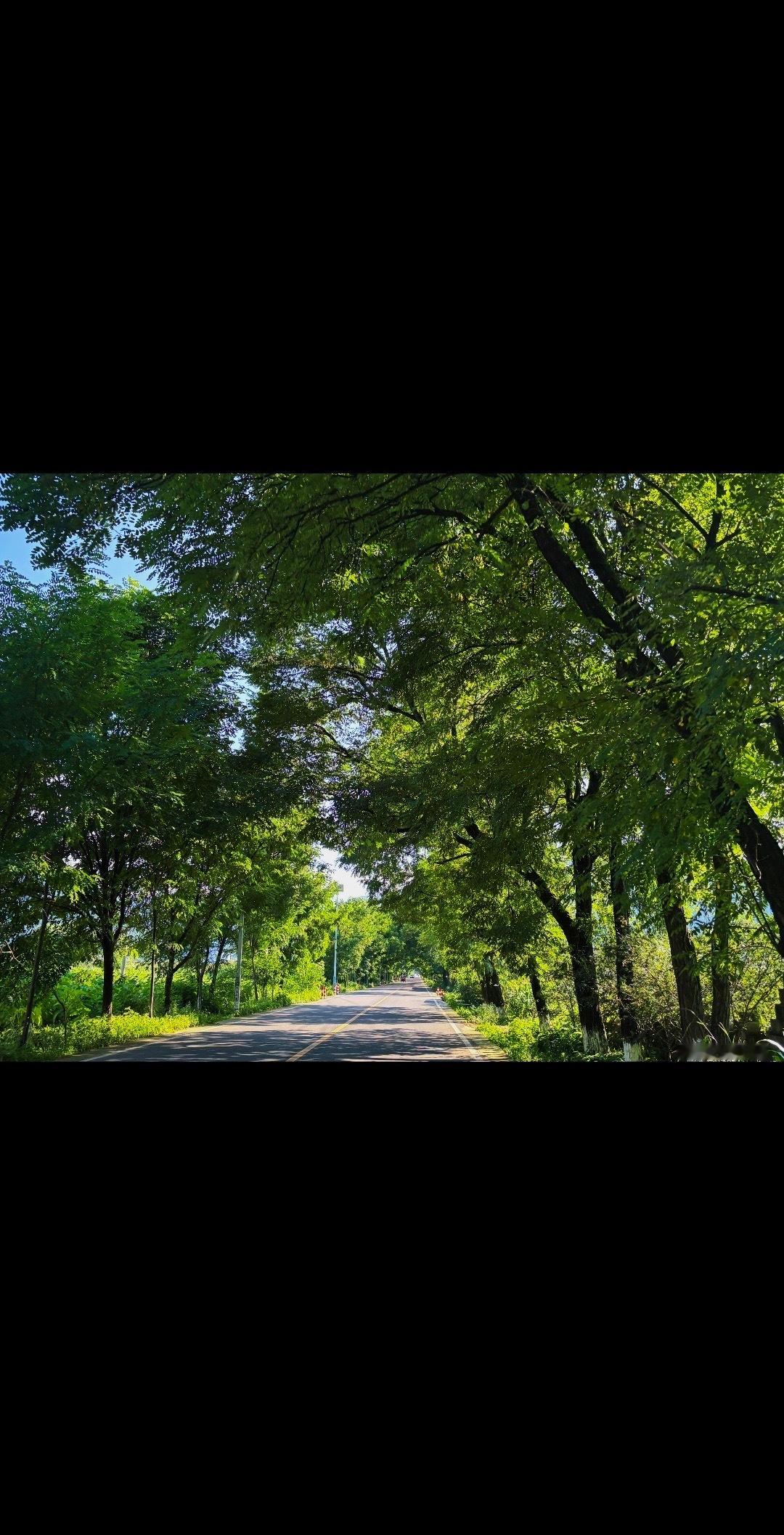 20度的夏天 