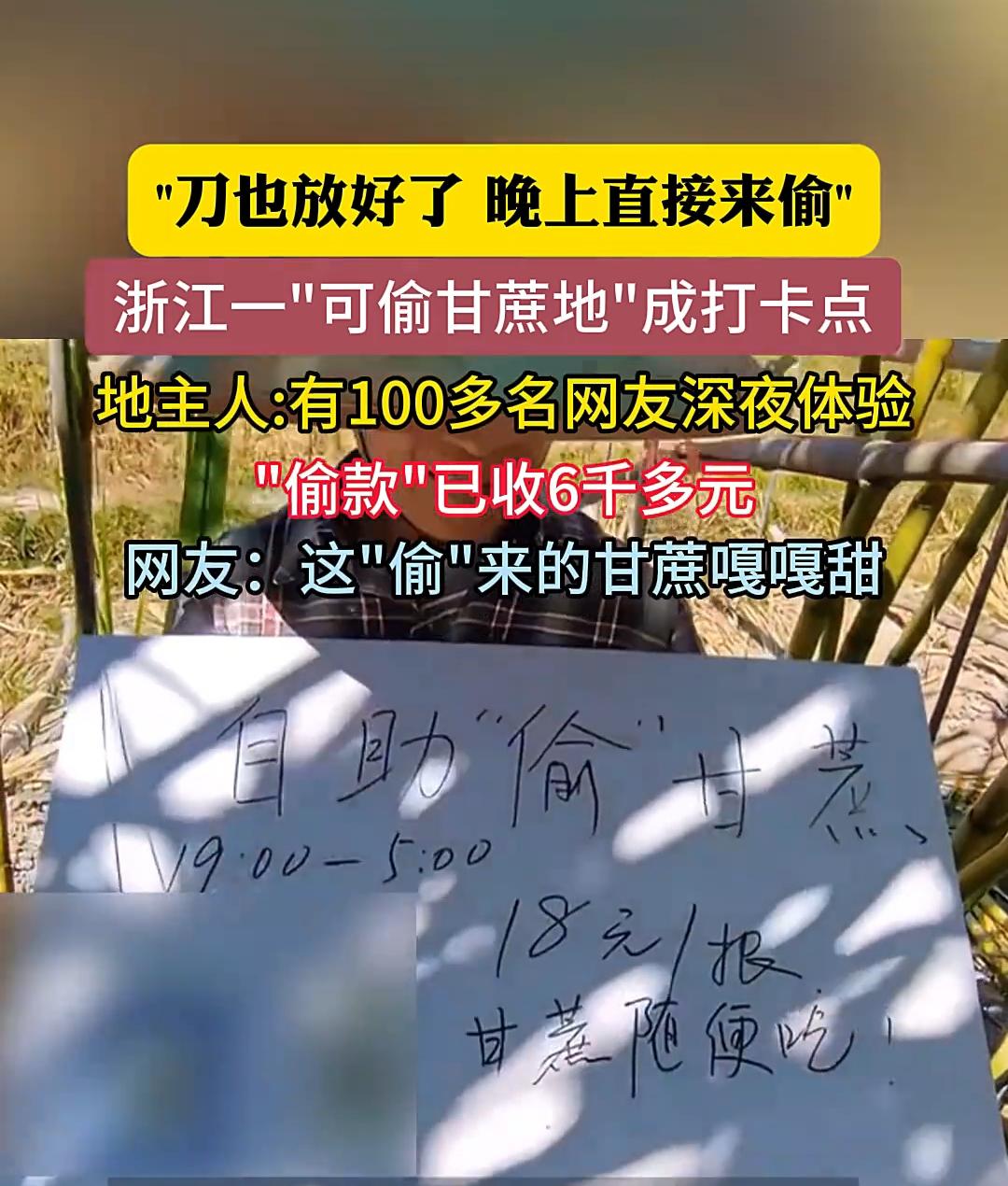这老板太会“偷懒”了，
他直接来个“可偷甘蔗地”，
二十小时随便偷，吃饱了还能扛