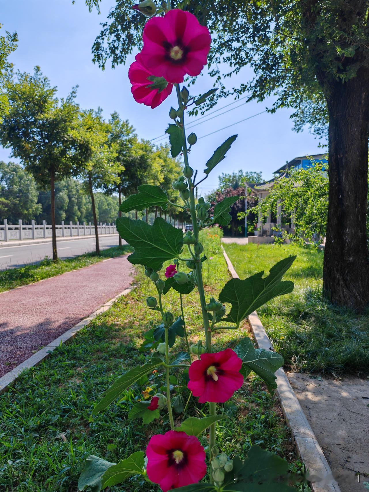 友友们，今天早上的大盘是什么情况？

大盘绿持股绿，我的自选股里面几十只仅有一支