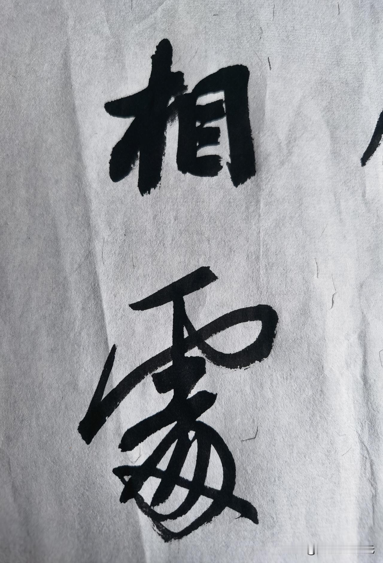 打卡每日抄书＃