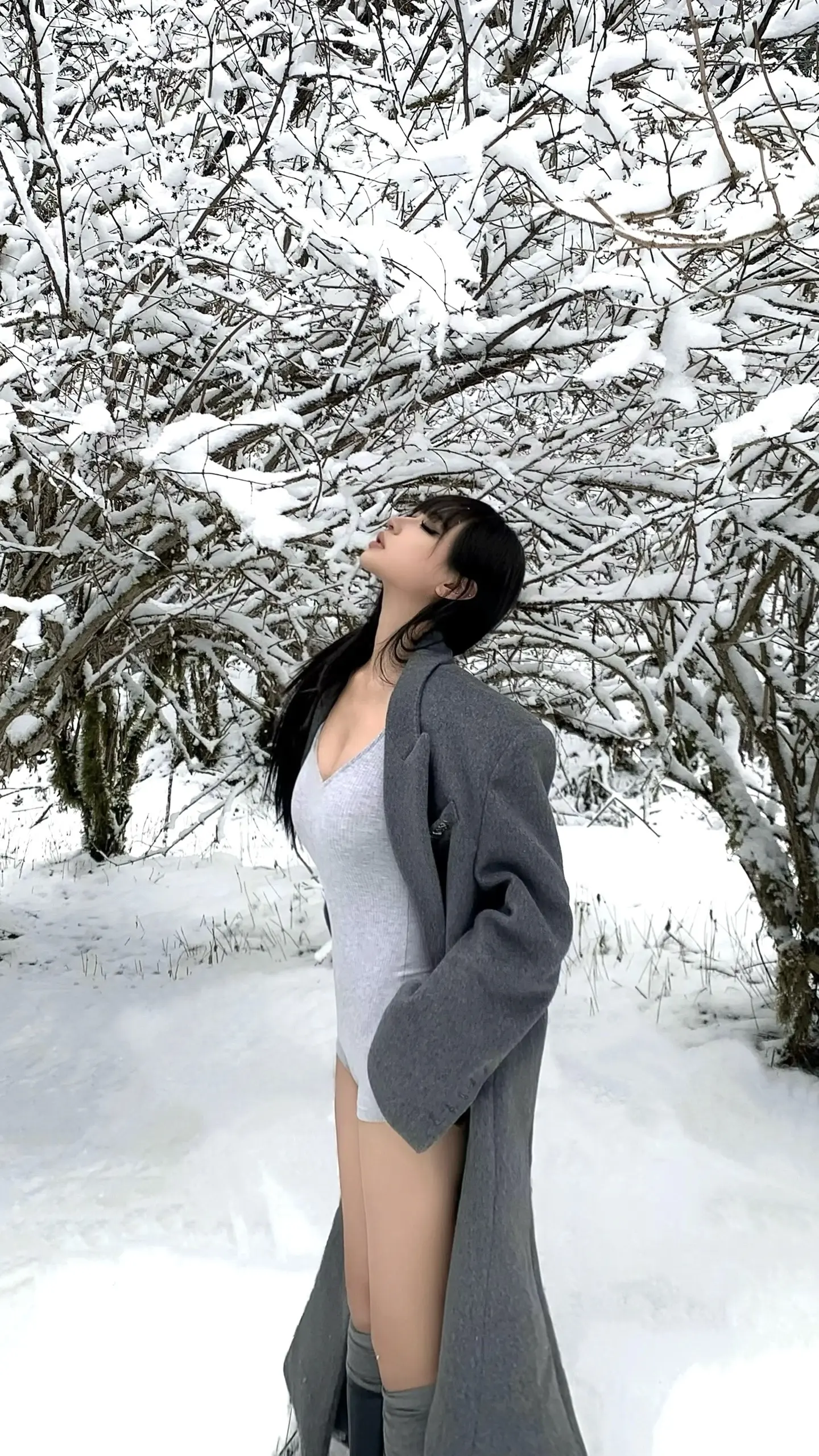 又下雪了 我们好像没有再见面