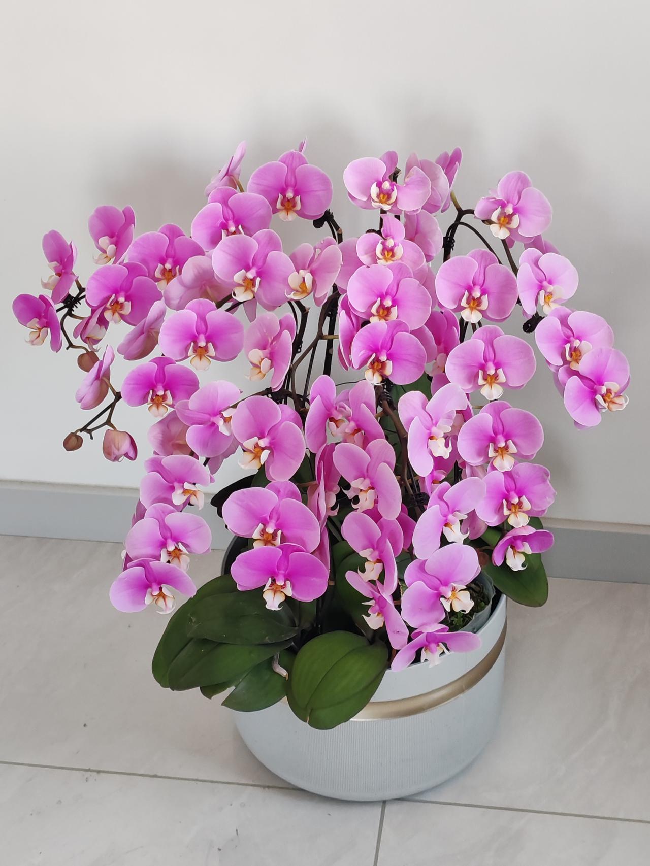 人非圣贤，孰能无过；金无足赤，人无完人。工作能做到十全十美的人少之又少。每年对工