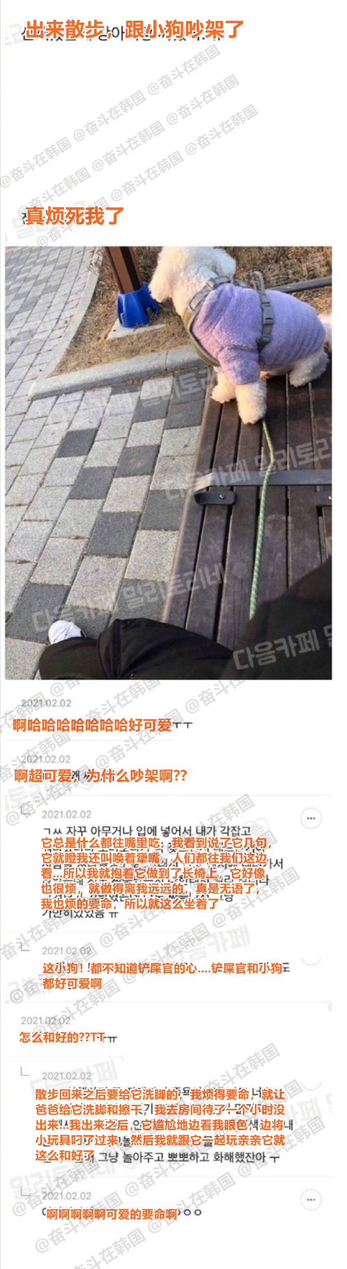出来散步时跟小狗吵架了 ​​，萌哭了~海外新鲜事 热点现场 ​​​