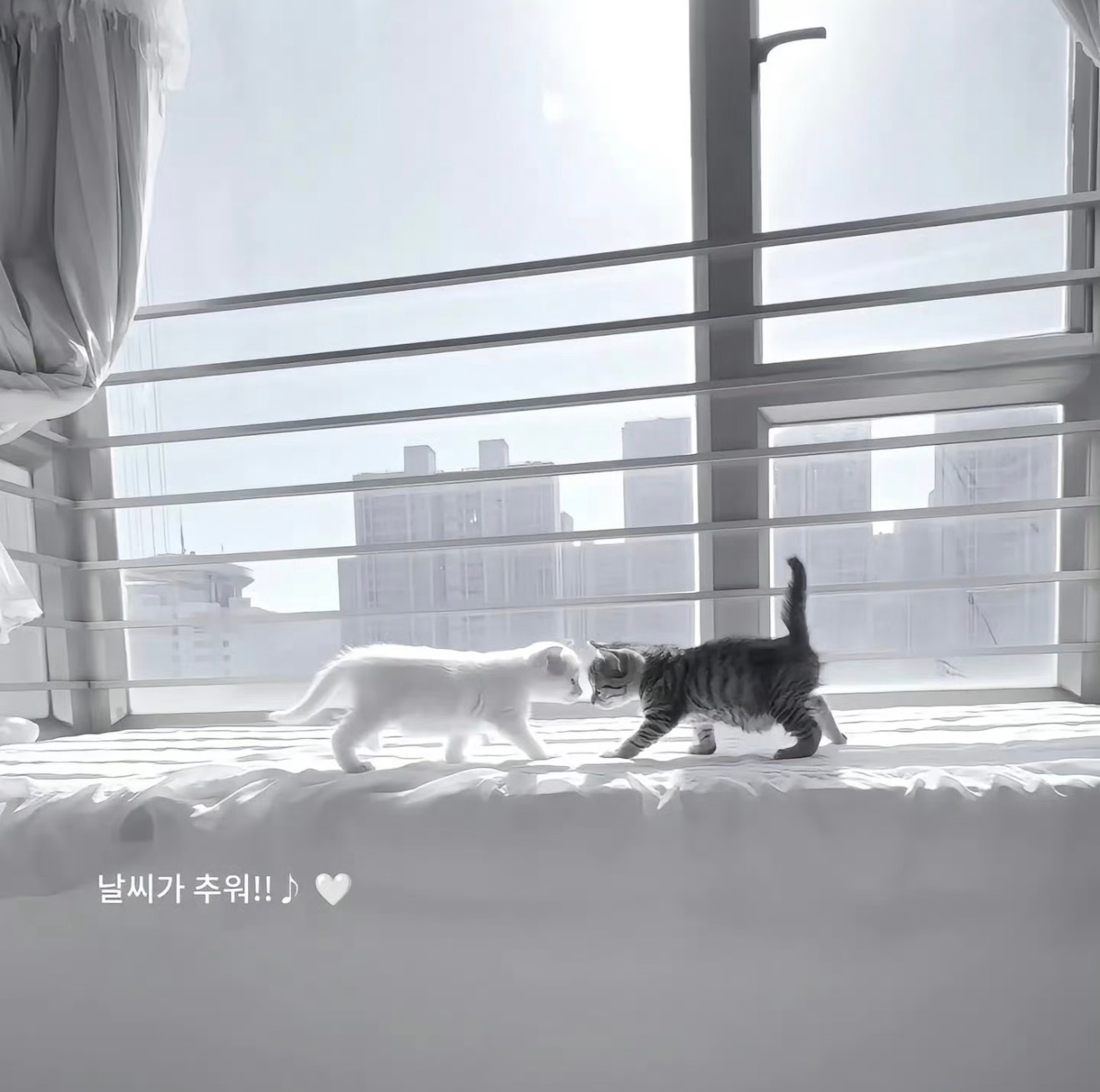 ♡⑅ .°소원은 너와 영원히@ Sunwoo｜오늘만 I LOVE YOU.☘