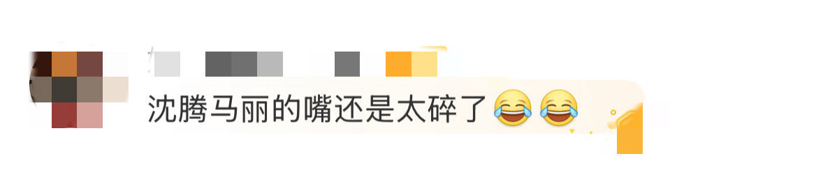 沈腾马丽的嘴还是太碎了 沈腾马丽一开口，游戏里的其他声音都成了背景音。一个喊节奏