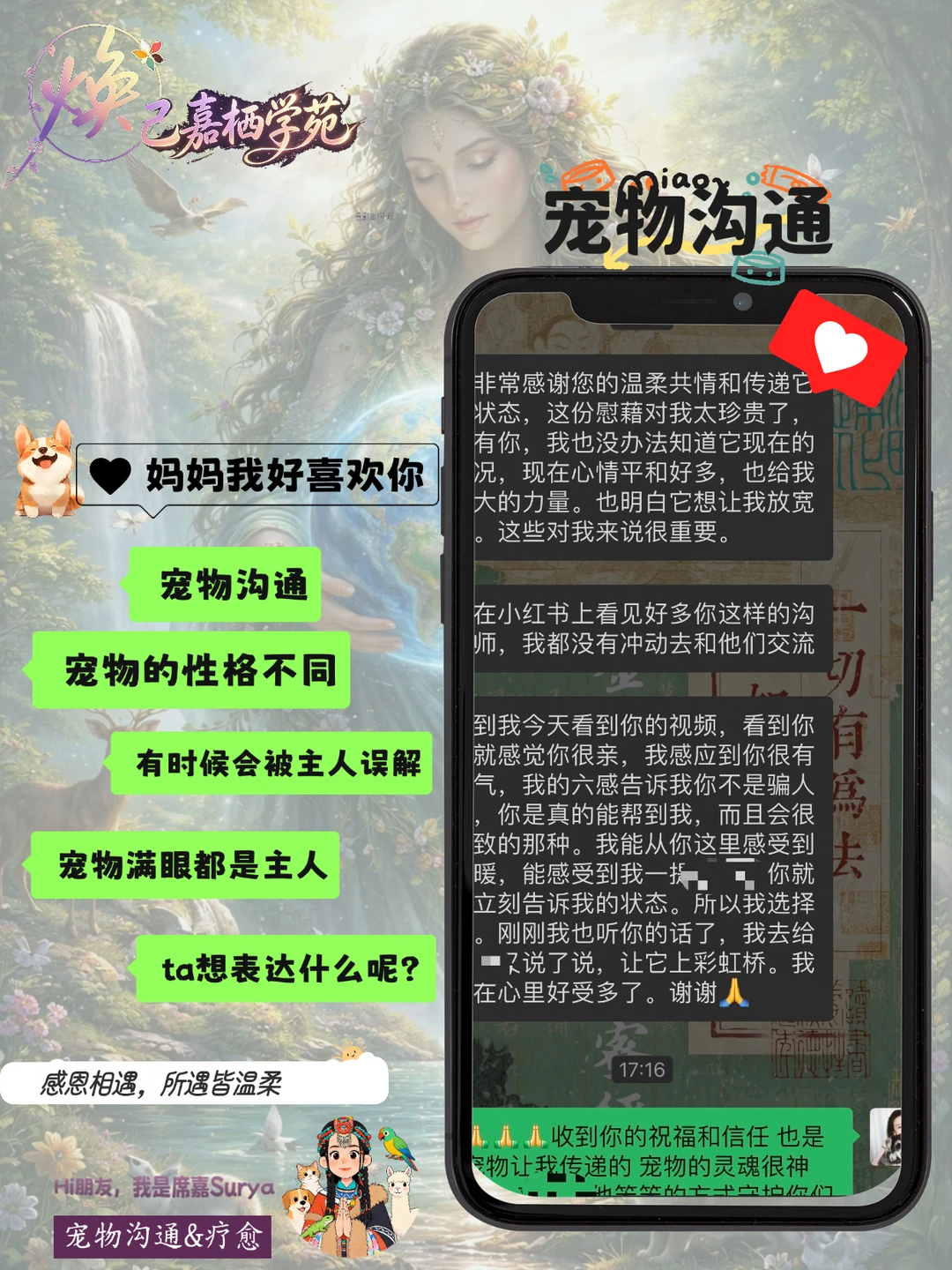 宠物沟通｜毛孩子离开后我很理解主人心情