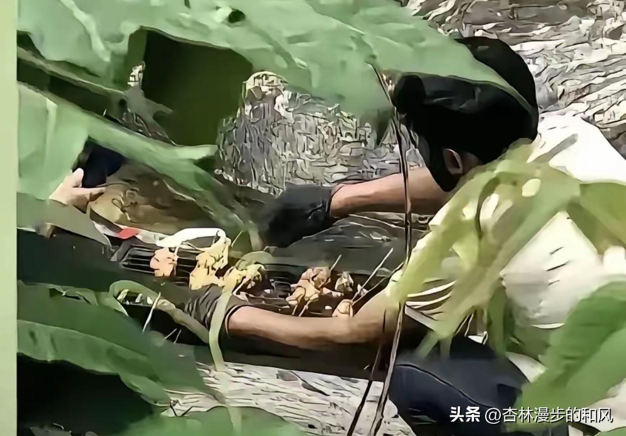 几个印度人在西安秦岭金龙峡烧烤，大家都知道，像这种地方，是绝对禁止烧烤的。这些印